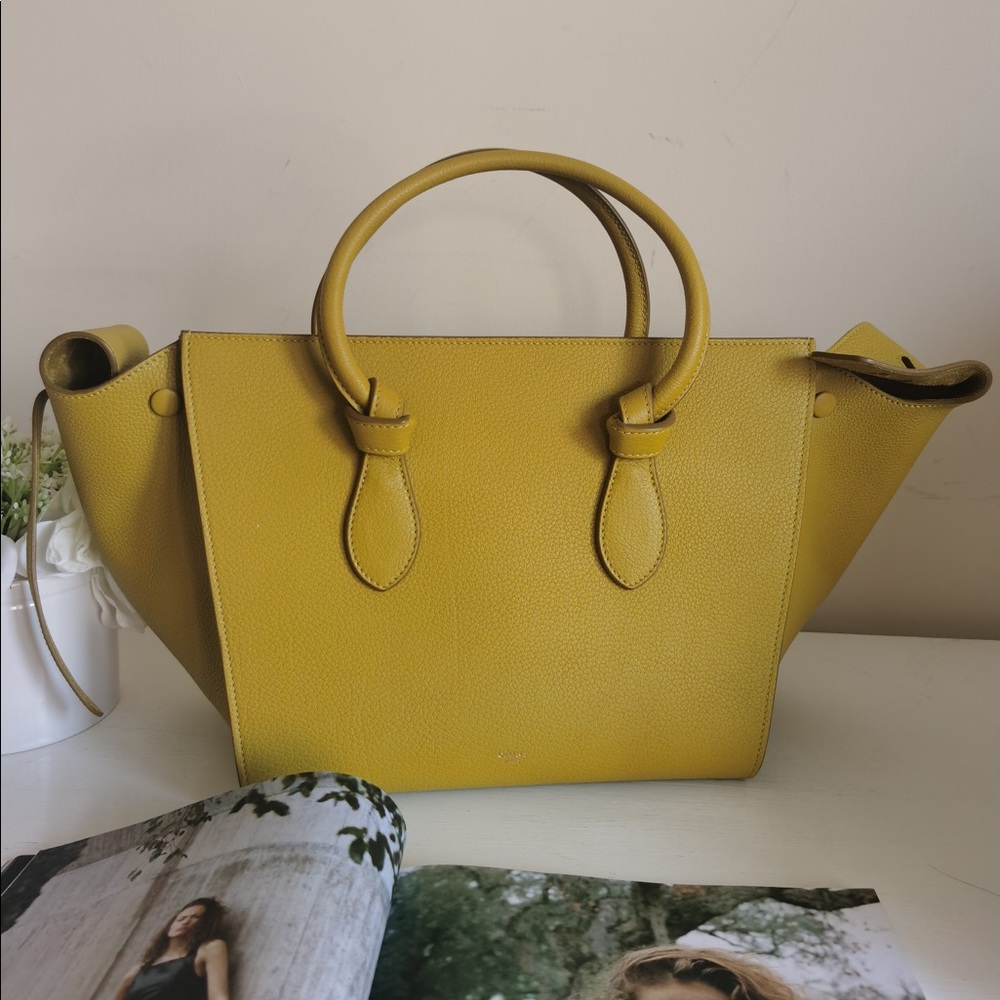Brand New Celine Bag